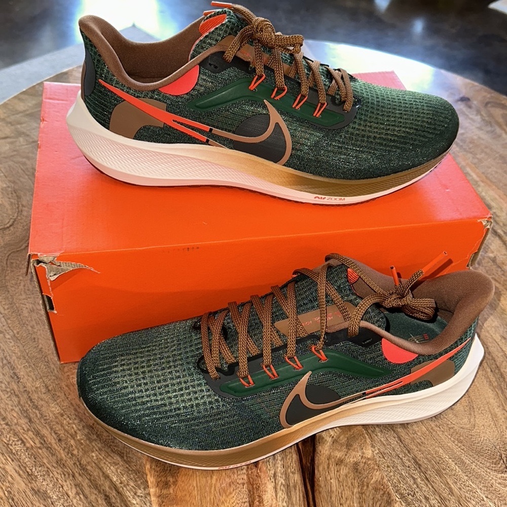 Men’s Nike Pegasus 39 AIR HOLA LOU Never Worn!
